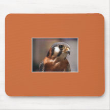 AmerikanerKestrel Indianas Resuced Mauspads
