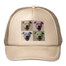 Amerikanische Bulldogge 2 Kult Cap
