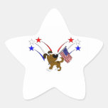 Amerikanische Flagge und Feuerwerke Stern Aufkleber