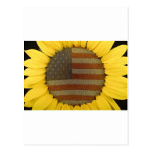 Amerikanische Sonnenblume Postkarte