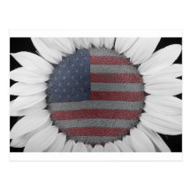 Amerikanischer Sonnenblume-Power Postkarten
