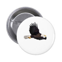 Amerikanischer Weißkopfseeadler Anstecknadel