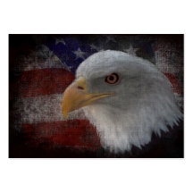 Amerikanischer Weißkopfseeadler auf Flagge Visitenkarten Vorlage