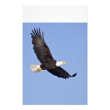 Amerikanischer Weißkopfseeadler Individuelle Büropapiere