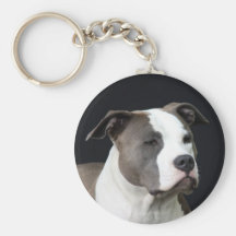 amerikanisches Staffordshire-Terrier Schlüsselbänder