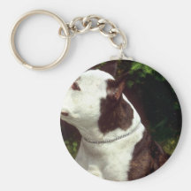 Amerikanisches Staffordshire Terrier Schlüsselanhänger