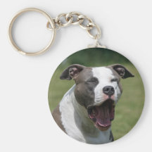 amerikanisches Staffordshire-Terrier Schlüsselband