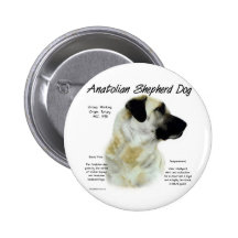 Anatolischer Schäfer-Hundegeschichtsentwurf Anstecknadel