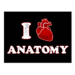 Anatomie der Liebe I Postkarten