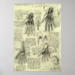 Anatomie der menschlichen Hand durch Leonardo da V Plakat