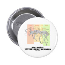 Anatomie des feinsten Ingenieurs der Natur (Entomo Buttons