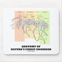 Anatomie des feinsten Ingenieurs der Natur (Entomo Mauspads
