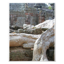 Angkor Tempel-Bäume Photographischer Druck