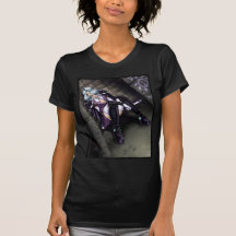 Anime-Kriegers-Mädchen Shirt