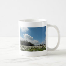 Ansicht von der Gänseblümchen-Bank Kaffeetassen