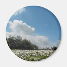 Ansicht von der Gänseblümchen-Bank Magnete