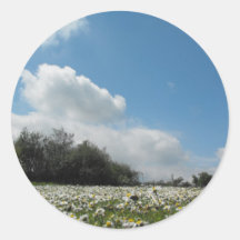 Ansicht von der Gänseblümchen-Bank Sticker
