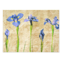Antike Iris - Vintager Iris-Hintergrund fertigen b Photo
