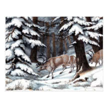 Antikes Naturgeschichte-Druck-Ren im Schnee Postkarte