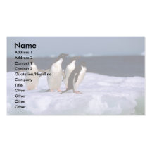 Anzeige? Lüge Pinguine Visitenkarten Vorlage