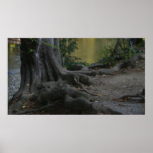 Appalachischer Strom Plakat