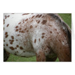 Appaloosa-Karte
