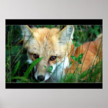 Apprivoise moi… plakate