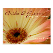 AprikoseGerbera • Save the Date Postkarte