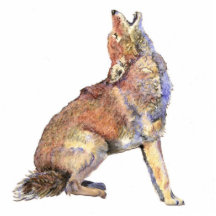 Aquarell-Heulenkojote, Tier, Natur-wild lebende Ti Foto Figur
