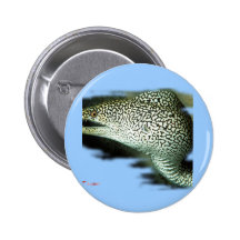 Aquarium-Fisch-Sammlung durch FishTs.com Anstecknadel