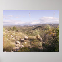 Arizona-Wildnis Posterdrucke