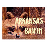 Arkansas-Bandit Postkarte