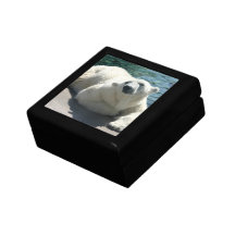 Arktische Eisbär-Geschenkbox