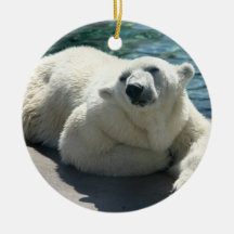 Arktische Eisbär-Verzierungen Weinachtsornamente