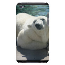 Arktischer Eisbär iTouch Fall Case-Mate iPod Touch Hülle