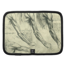 Arm-und Schulter-Muskel-Anatomie Leonardo da Vinci Mappen
