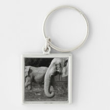 Asiatische Elefanten Keychain Schlüsselanhänger
