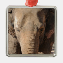 Asiatischer Elefant Weihnachtsornament