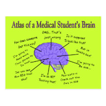 Atlas des Gehirns #2 eines Medizinstudenten Postkarte