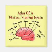 Atlas des Medizinstudent-Gehirns Magnets