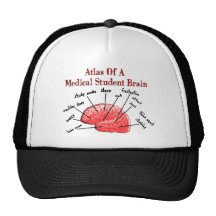 Atlas des Medizinstudent-Gehirns Retrocap