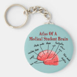 Atlas des Medizinstudent-Gehirns Schlüsselband