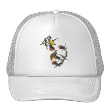 Audubon AmerikanerGoldfinch Retromützen