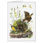 Audubon OstMeadowlard Grußkarte