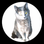 Aufkleber der Katzen-11 aufkleber