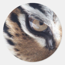 Auge des Tigers Sticker