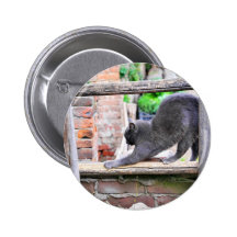 Ausdehnen der Katze Anstecknadelbutton