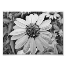 Ausdruck-12x18 photographischer Druck