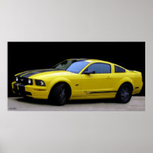 AUSGEREIFTES GELB "STACH PLAKAT
