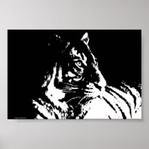 Ausgezeichnetes Tigerplakat